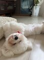 ジーエスネイル(GS NAIL)&nbsp;愛犬に癒されてます^ ^！！
