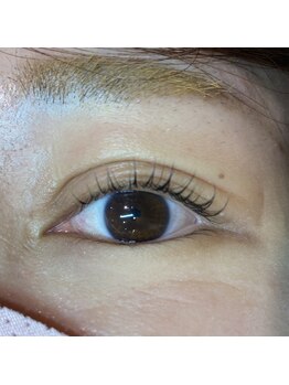 リシェルアイラッシュ 関内店(Richelle eyelash)/まつげデザインコレクション 109