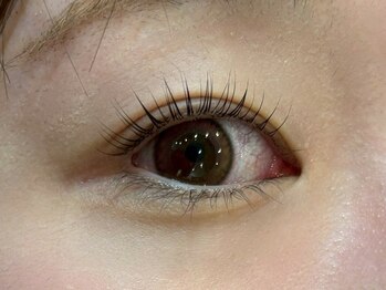 シピー(chipie by anon)/ATSUKO◆まつ毛パーマ