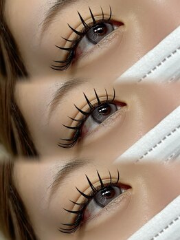 ラリス(Ralis)/フラットラッシュ 150本