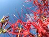 13.全員【眼精疲労の方おススメ】もみほぐし60分+ヘッドスパ30分 計90分●
