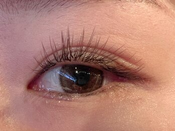 レミア 関内(REMIA)/12月　ブラウンラッシュ