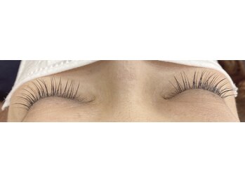 シルフ 石橋店(Sylph)/120本