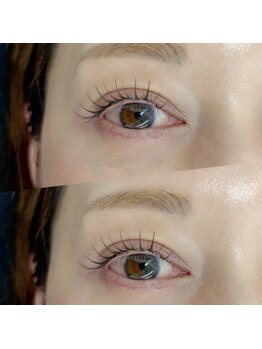 キルナリビング(kiruna living)/カラーフラットラッシュ100本