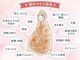 ヴォアラクテ(voie lactee)の写真