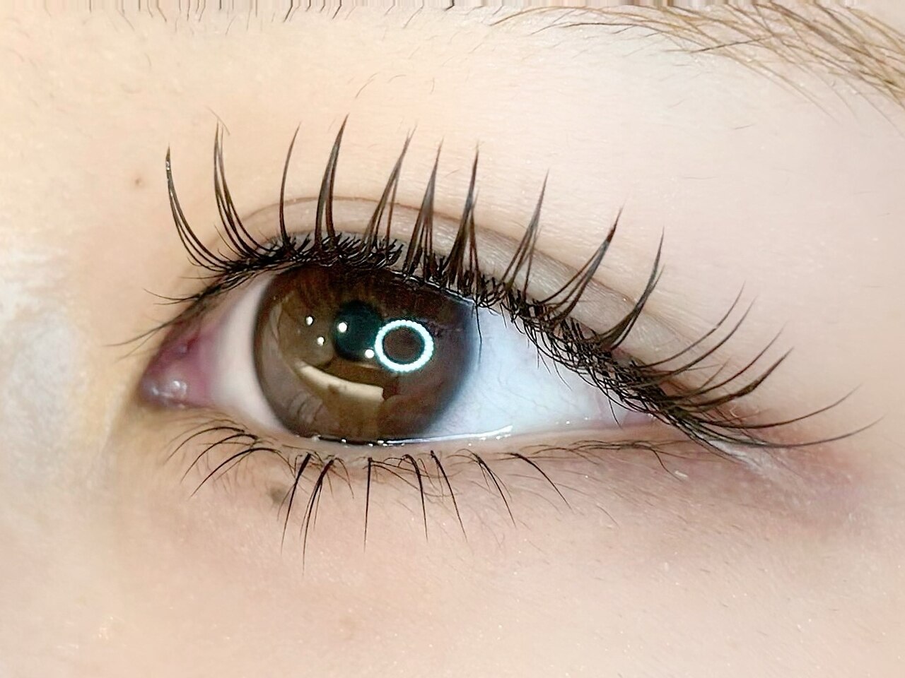 【付け足し限定】ナチュラルセーブル60本￥4000　80本￥4500　100本￥5000