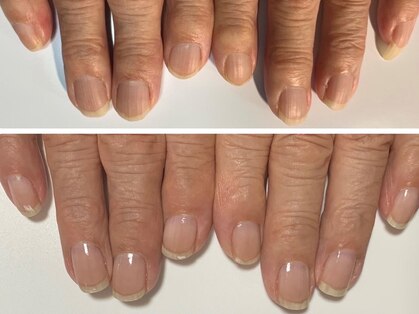 ピンクのラナンキュラスの写真