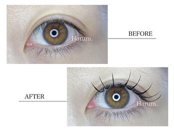 ハルム(HARUM)/フラットラッシュ100本