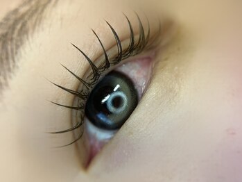 ラウ(Lau)/フラットラッシュ160本