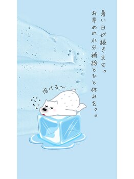 サクラ(Sakura)/暑さ厳しいです