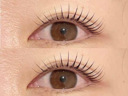 エルブリンク(elblink)の写真