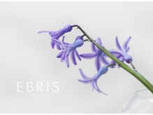 エブリス 浦和店/美眉アイブロウスタイリング