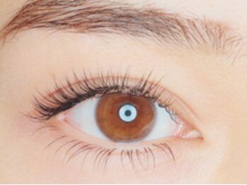 まつげエクステ専門店 ヴィーナスラッシュ 六本木店(Venus Lash)/【80本】マツエク