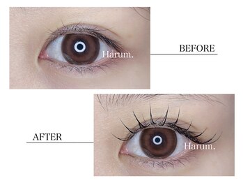 ハルム(HARUM)/フラットラッシュ100本