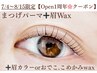 【まつげパーマ×アイブロウSET】7/4～8/15迄　周年限定★選べるオプション付