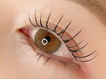 ローズラッシュ(Rose Lash)/まつげパーマ