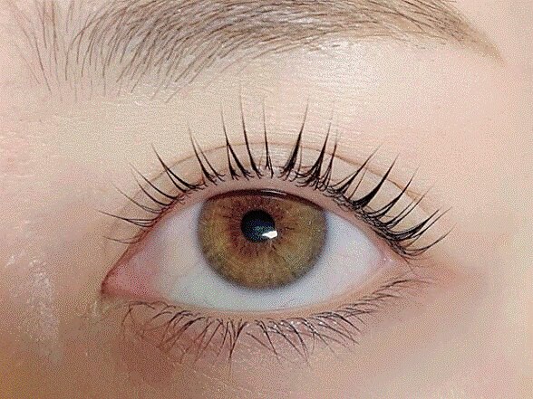 【初回】一番人気！根本から上げる［パリジェンヌラッシュリフト］￥4,800