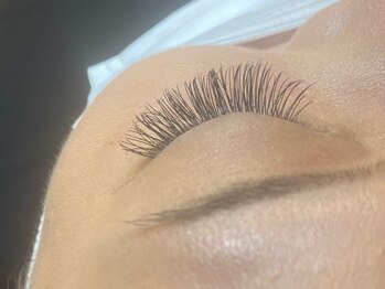 ロータス(LOTUS)/フラットラッシュ♪