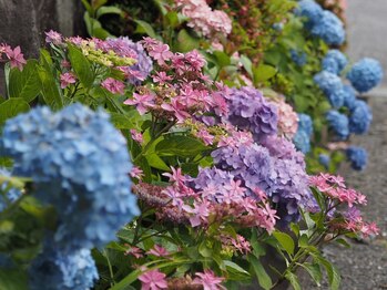 清流堂/大倉山近所にて