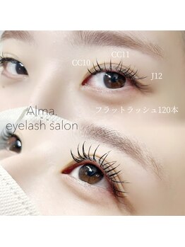 アルマ(Alma.)/フラットラッシュ120本