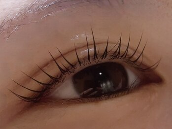 カラン 焼津店(CALIN)/シンプリフィ