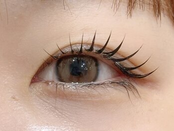 ニュイ 学芸大学店(nuit)の写真/自まつげ派もエクステ派も大満足☆選べるまつげパーマ＆最新マツエクで、どの角度から見ても美しい目元へ♪