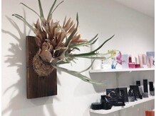 ポーラ 八戸ゆりの木通り(POLA)の雰囲気(癒しの空間で、日々の生活から離れご自身と向き合う大切な時間に)