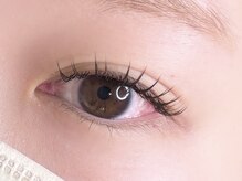 ハロウ/ブラウンマツエク 120本