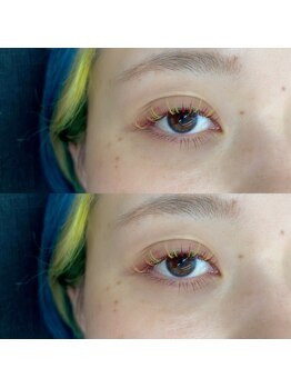 キルナリビング(kiruna living)/個性派カラーフラットラッシュ