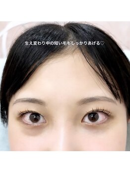 ヘーラー(Hera)/まつげパーマ　ラッシュリフト