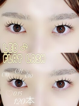 ドットイチイチマルイチ 銀座店(DOT1101)/LEDエクステ