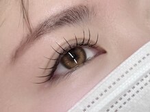 ステラ(Stella)/フラットラッシュ