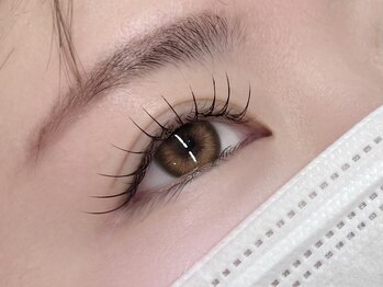 ステラ(Stella)/フラットラッシュ