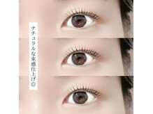 シーズントーキョー(SEASON Tokyo)/プランプラッシュリフト