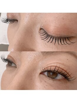 ビューティー アイラッシュ ベルウインク(Bellewink)/LEDエクステ140本