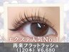 【何度でもお得♪】モチが◎軽い♪フラットラッシュ120本☆6680円♪