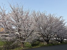 フィジカル整体 ボディーレ(Body Re)