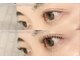 トゥリー アイラッシュサロン(Tree)の写真