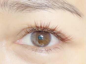 エクリュ アイラッシュ(ecru eyelash)/ボルドーカラーエクステ/LED