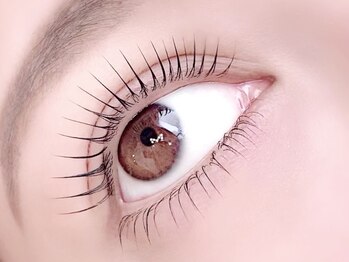 トリッシュ(TRISH)/上下まつ毛パーマ