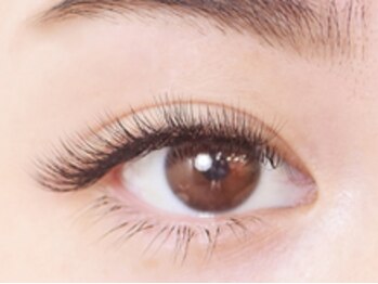 まつげエクステ専門店 ヴィーナスラッシュ 六本木店(Venus Lash)/ 【大人気!ボリュームラッシュ】