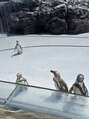ウネ(~ une) 水族館でペンギンを見ました
