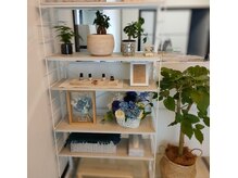 イルブル(il blu)/