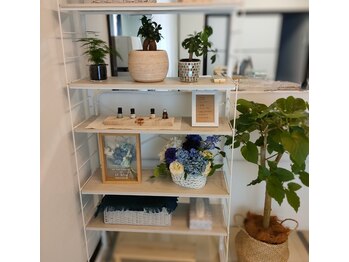 イルブル(il blu)/