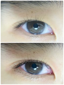 プルームミコ(Plume mico)/まつ毛パーマ～カールタイプ～