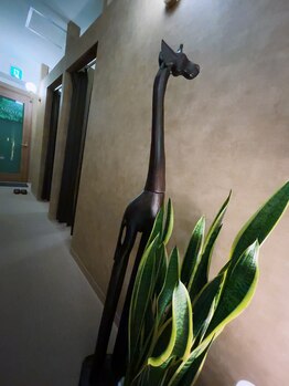 アジエスタ 五反田店(ASIESTA)/