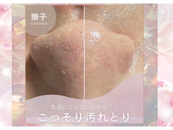 撫子アカデミー