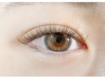 エイトラッシュ(8-lash)/grayish brown × caramel brown