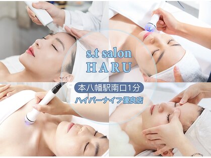 ハル(HARU)の写真