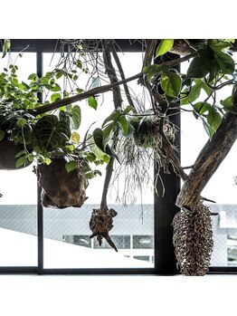 ユニオンブース(UNION BOOTH)/観葉植物のある空間でリラックス